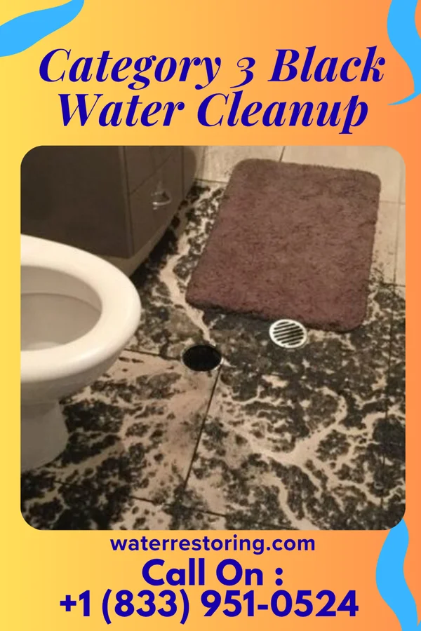Category 3 Black Water Cleanup in Highland Lakes, AL
